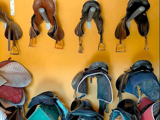 Different types of saddles