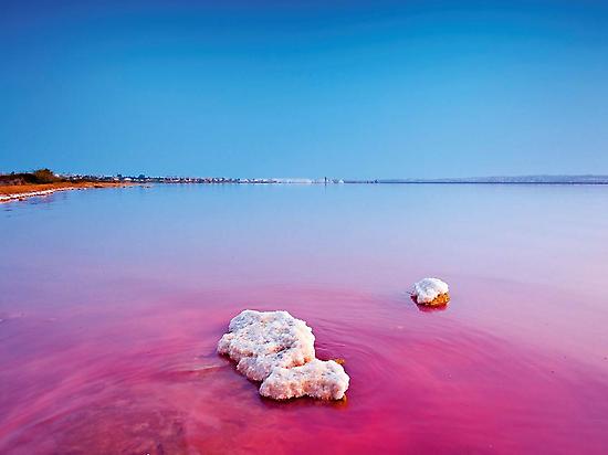 Salinas rosas de Torrevieja