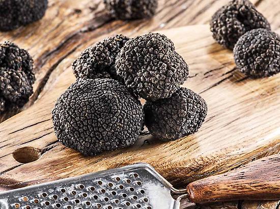 Truffes