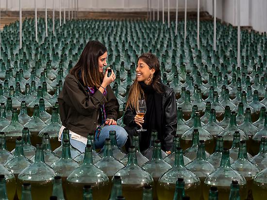 wine tourism