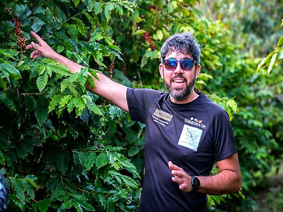 Manolo Mateos guide