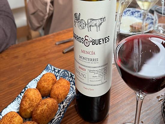 Croquetas con Vino Mencia