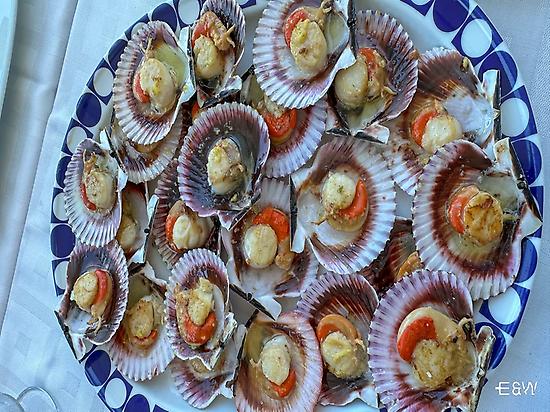 Baby Scallops