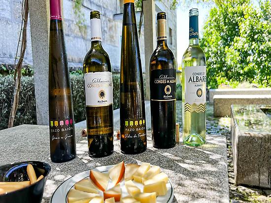 Wine Tasting with Cheeses