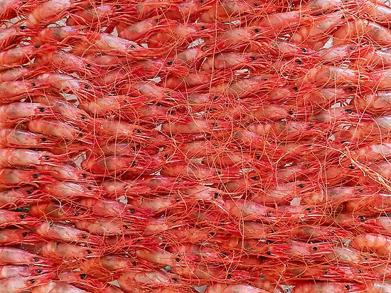 Quisquilla de Santa Pola