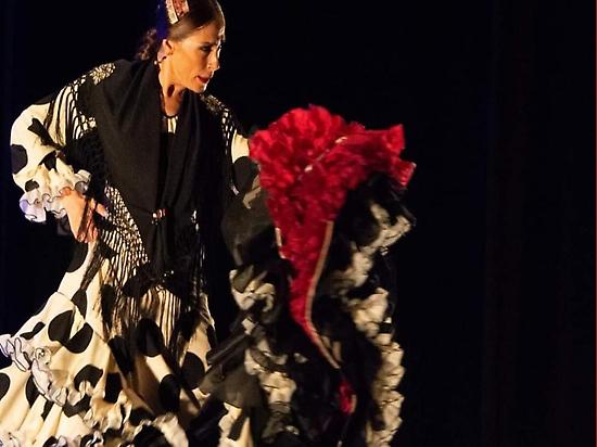 Flamenco dancer performing
