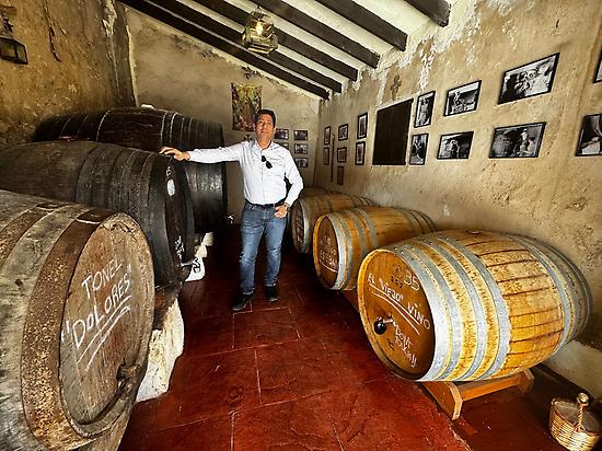 Bodega barriles antiguos