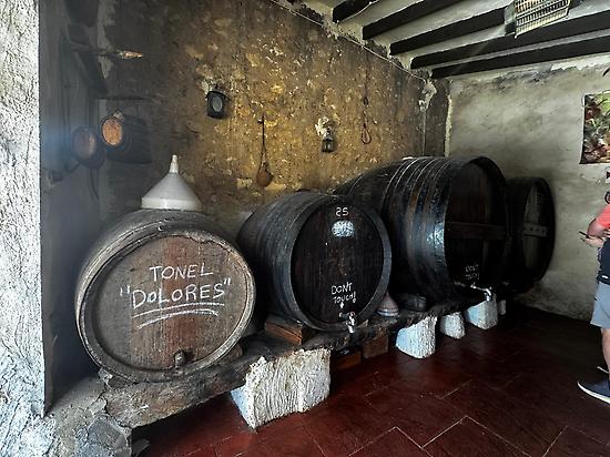 Bodega barriles antiguos