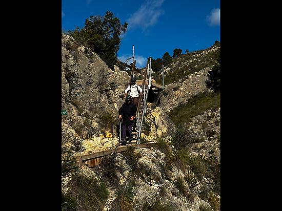 Hanging footbridge