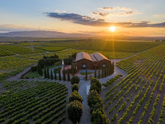 Heraclio Alfaro winery