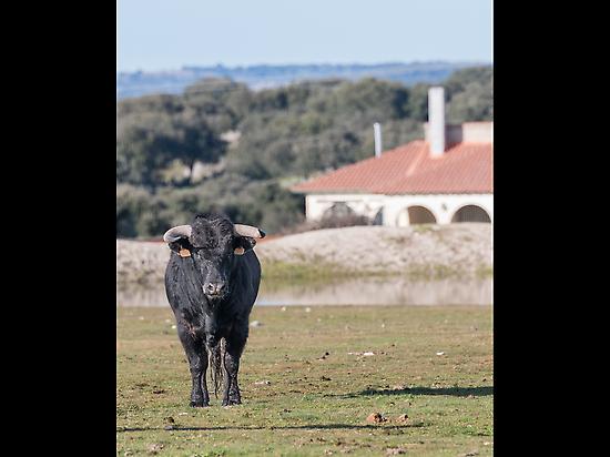 Fotogafía de Iván Martín