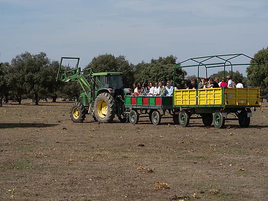 Fotogafía de Ganadería Antonio Palla