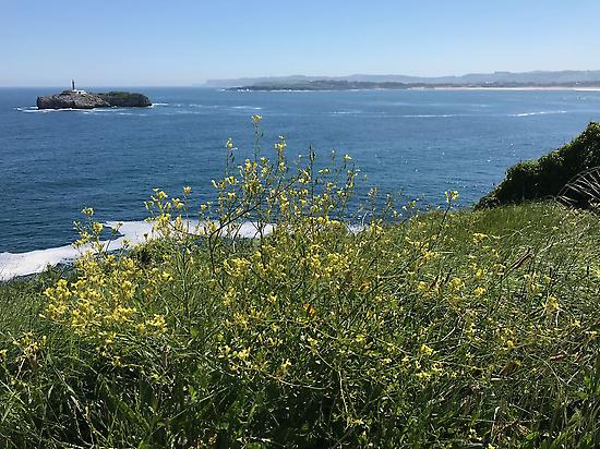 Natura 2000 Network on Mouro Island