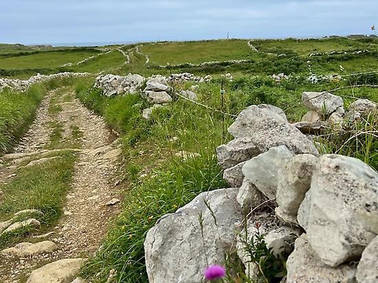 Ancient paths between dry stone walls