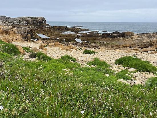 Pebble beaches