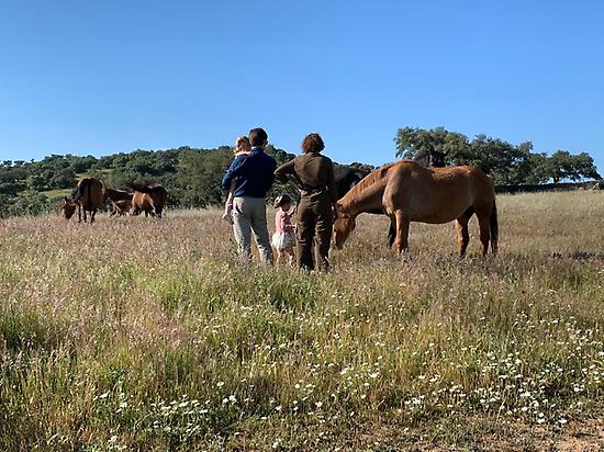Family day