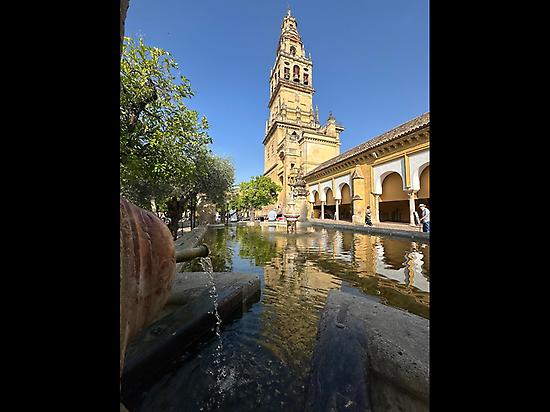 The tower bell