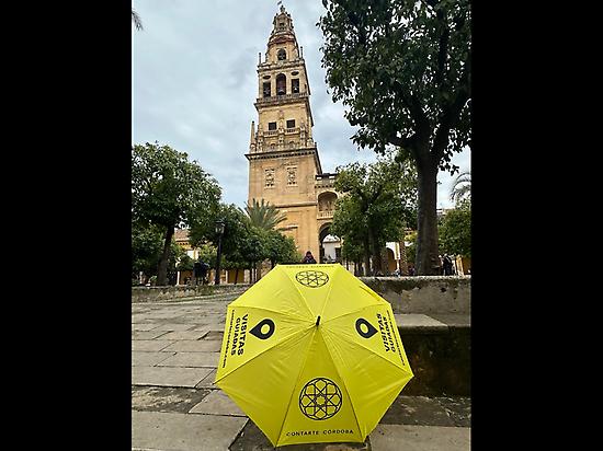 Look for the YELLOW Umbrella!