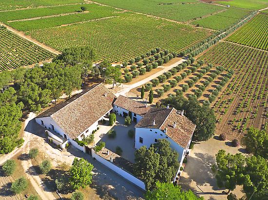 Finca Hoya de Cadenas