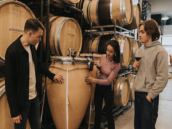 Aprende sobre el vino 