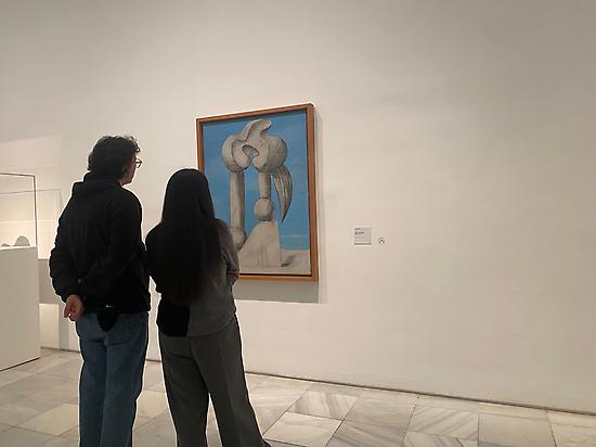 Reina Sofía Museum