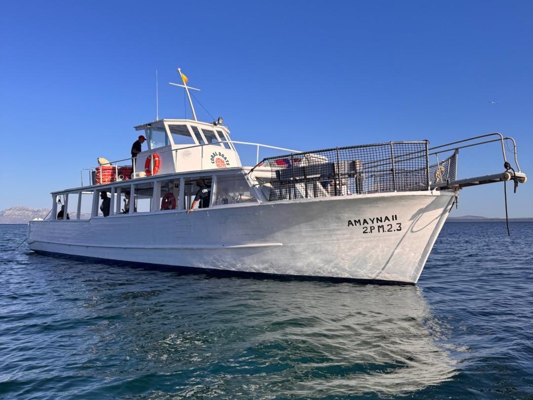 Excursión en Barco Alcudia