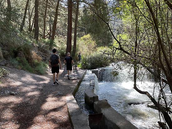 Beautiful Trail