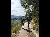 Trail