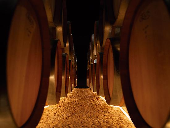 Winery visit 