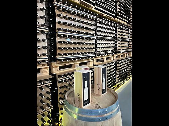 Winery visit 