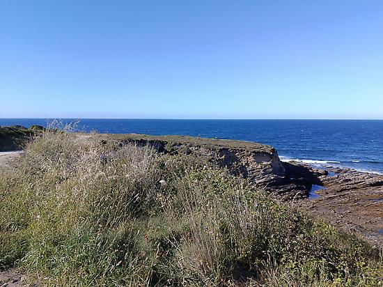 Seabirds observation point