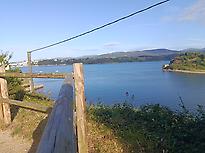 The Estuary