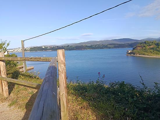 The Estuary