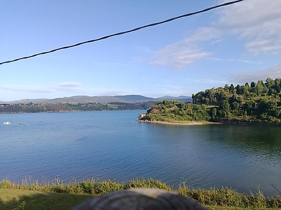 The Estuary