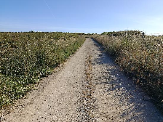 Path example