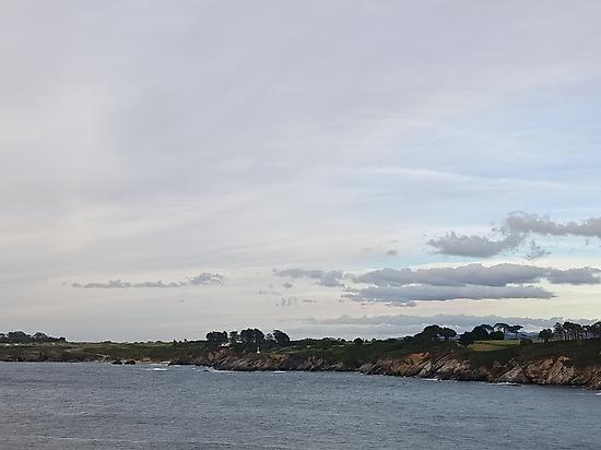 The Estuary