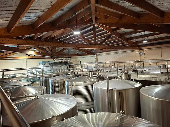 Torre Penelas Winery