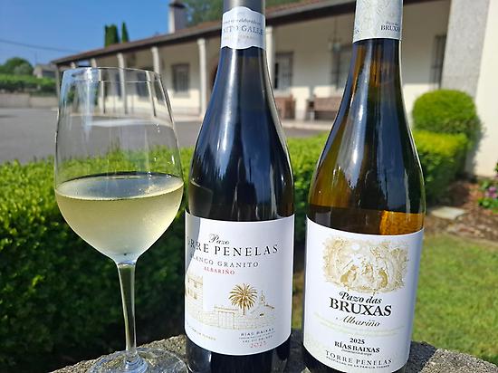 Familia Torres Rías Baixas wines