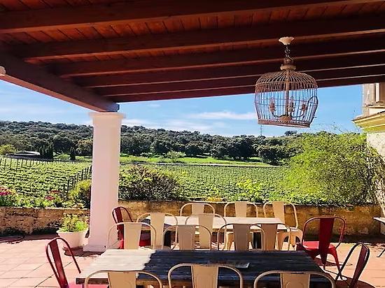 Discover the magical Bodega Doña Felisa!