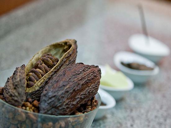 Cacao à Saragosse