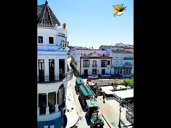 Ruta Patrimonial: Plaza Central