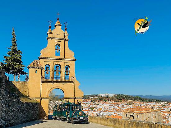 Ruta Patrimonial: Subiendo al Castillo