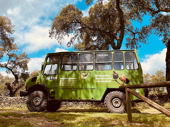 "To the Source of the Odiel River"