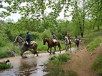 Ruta a caballo por el Arroyo Bejarano