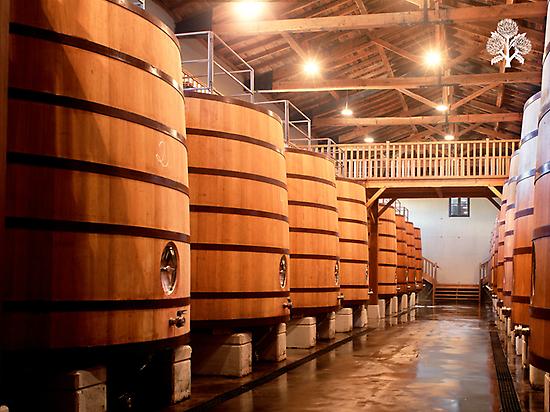 Alcoholic fermentation room