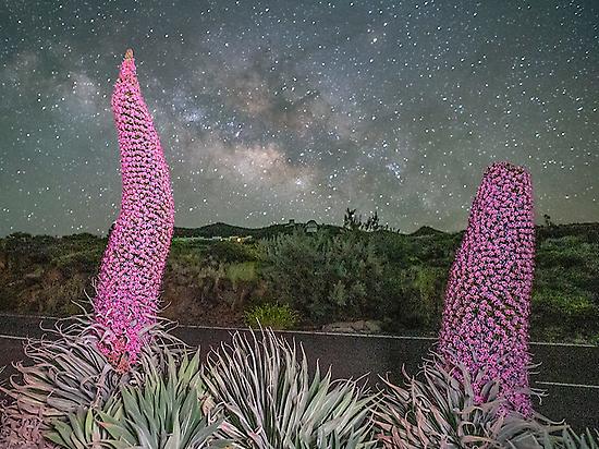 Astrofotografia y naturaleza en el Roque