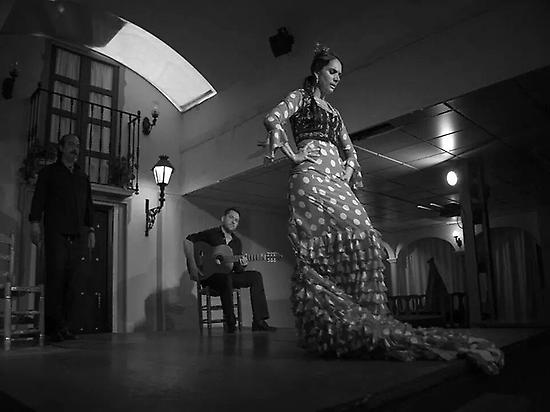 Flamenco tour