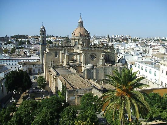 Daytrip de Cádiz a Jerez