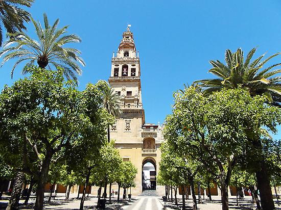 Daytrip de Sevilla a Córdoba