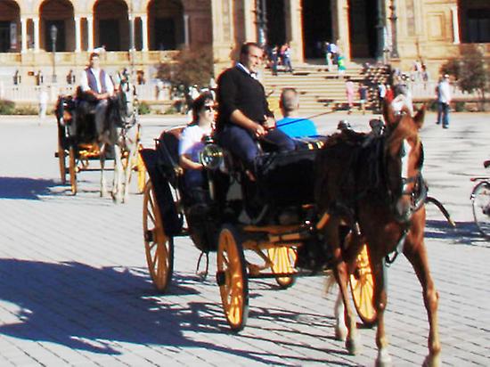 Horse carriage ride through Seville